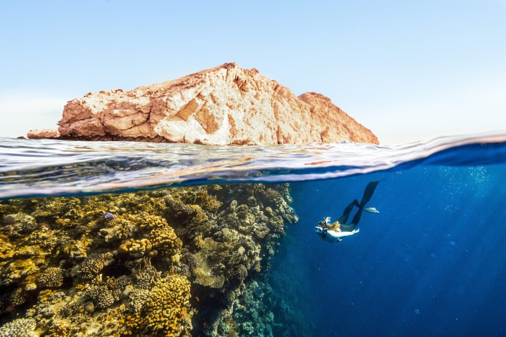 Nager avec les poissons à Monaco