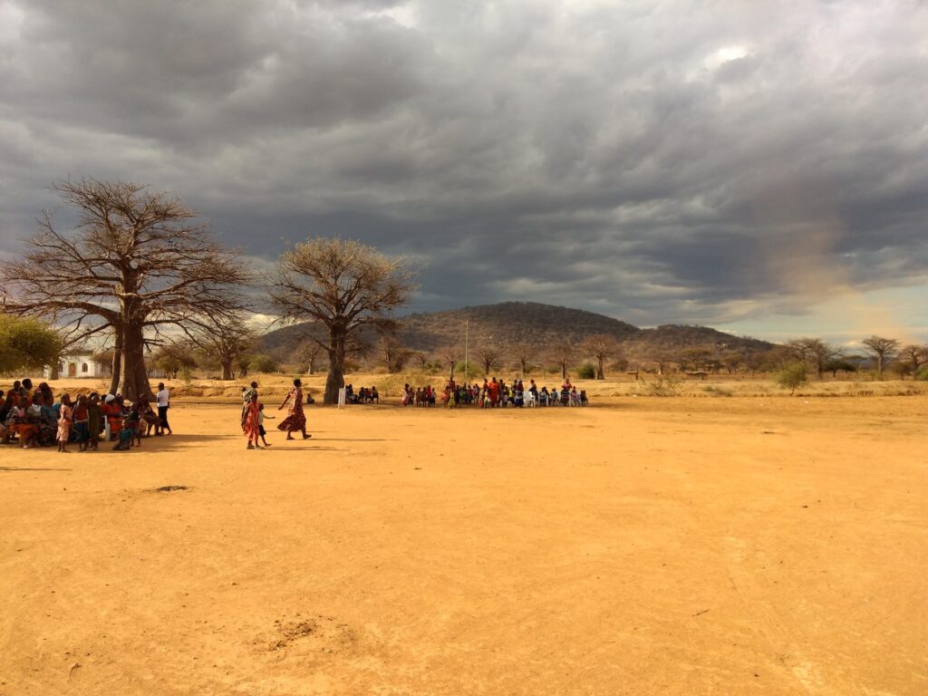Organiser un safari en Tanzanie