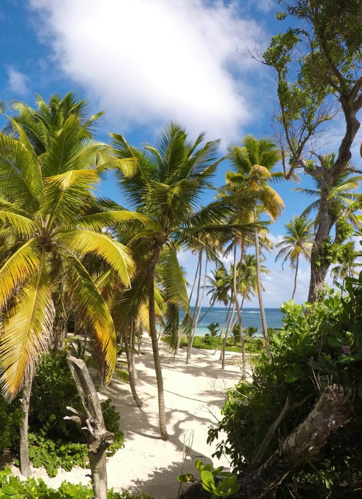 Voyager en Martinique
