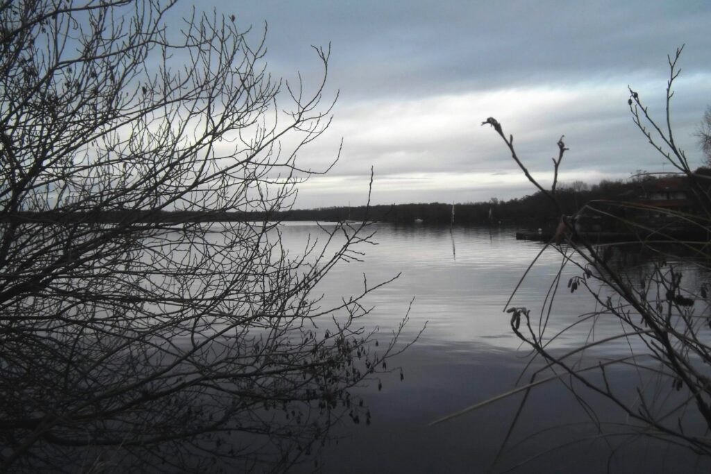 vue sereine d'un lac des landes avec branches nues en premier plan