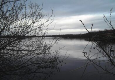 Que faire lors de son séjour dans les landes ?