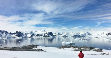 Aux confins du monde : vivre l’expérience unique d’un voyage en Antarctique