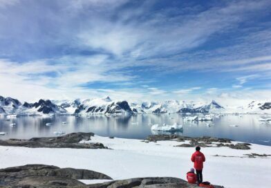 Aux confins du monde : vivre l’expérience unique d’un voyage en Antarctique
