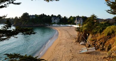 Idyllic beach cove with lush greenery and clear waters in Brittany, France at sunrise.