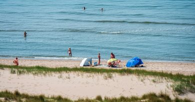 Sunny beach scene with people swimming and relaxing