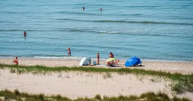 Sunny beach scene with people swimming and relaxing