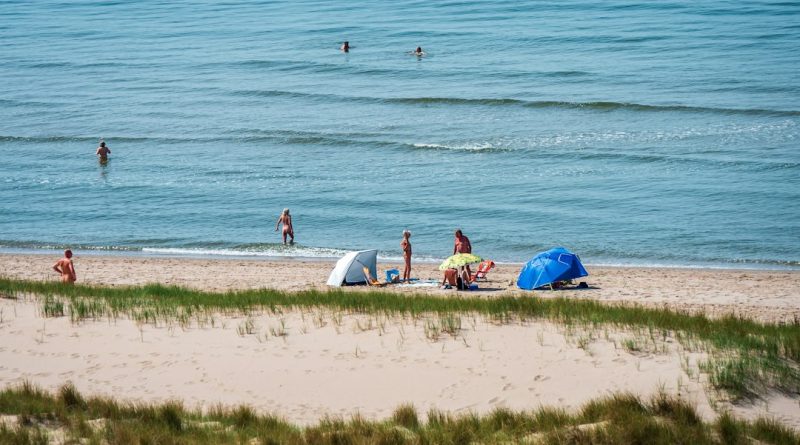 Sunny beach scene with people swimming and relaxing